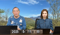 KOLIVE1262