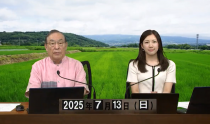 KOLIVE1271