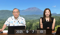 KOLIVE1279