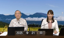 KOLIVE1281