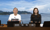 KOLIVE1284