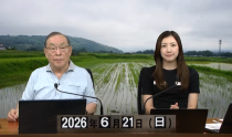 KOLIVE1316
