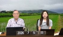 KOLIVE1318