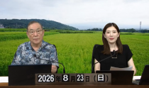 KOLIVE1325