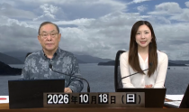 KOLIVE1333